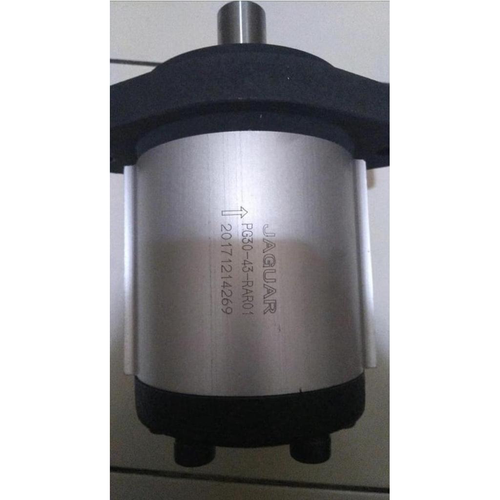Murah Gear Pump Pg30-34 Jaguar