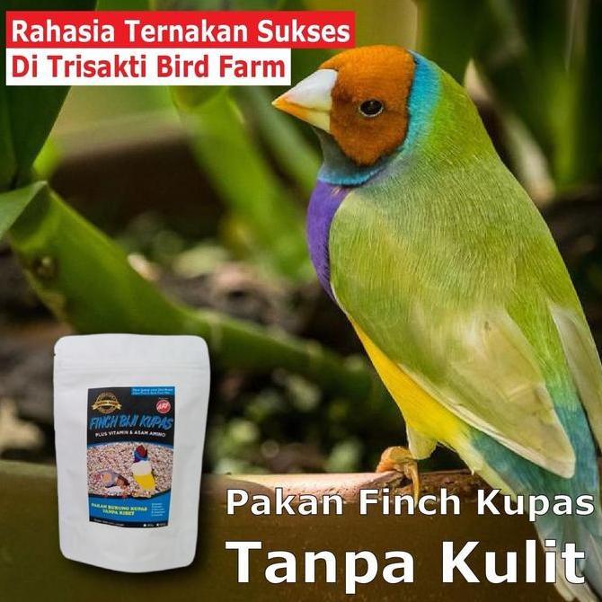 Dongmul- Pakan Burung Bijian Kupas Untuk Burung Emprit Zebra Dan Jenis Finch Lainnya