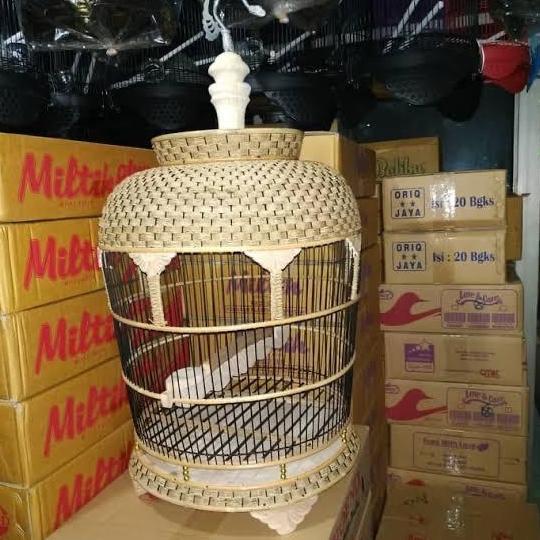 Dongmul- Kandang Burung Perkutut Rotan Model Rajut - Sangkar Burung Perkutut