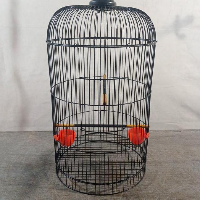 RAM BESI SANGKAR LOVE BIRD