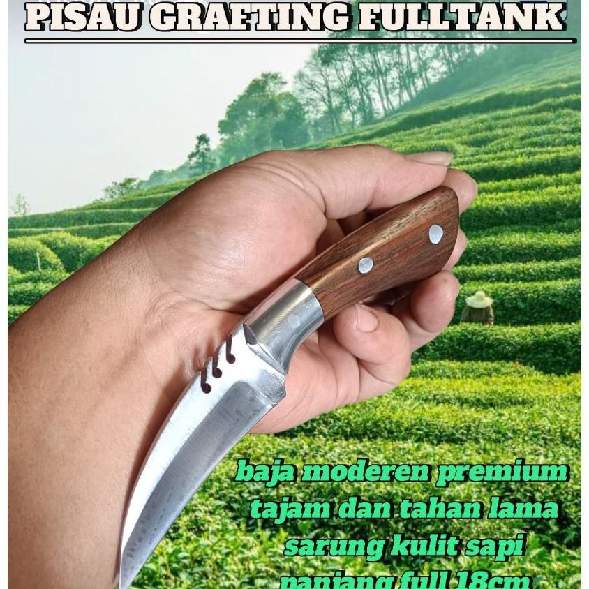 Pisau Okulasi Tanaman, Pisau Grafting Stek Tanam, Pisau Jalu Ayam