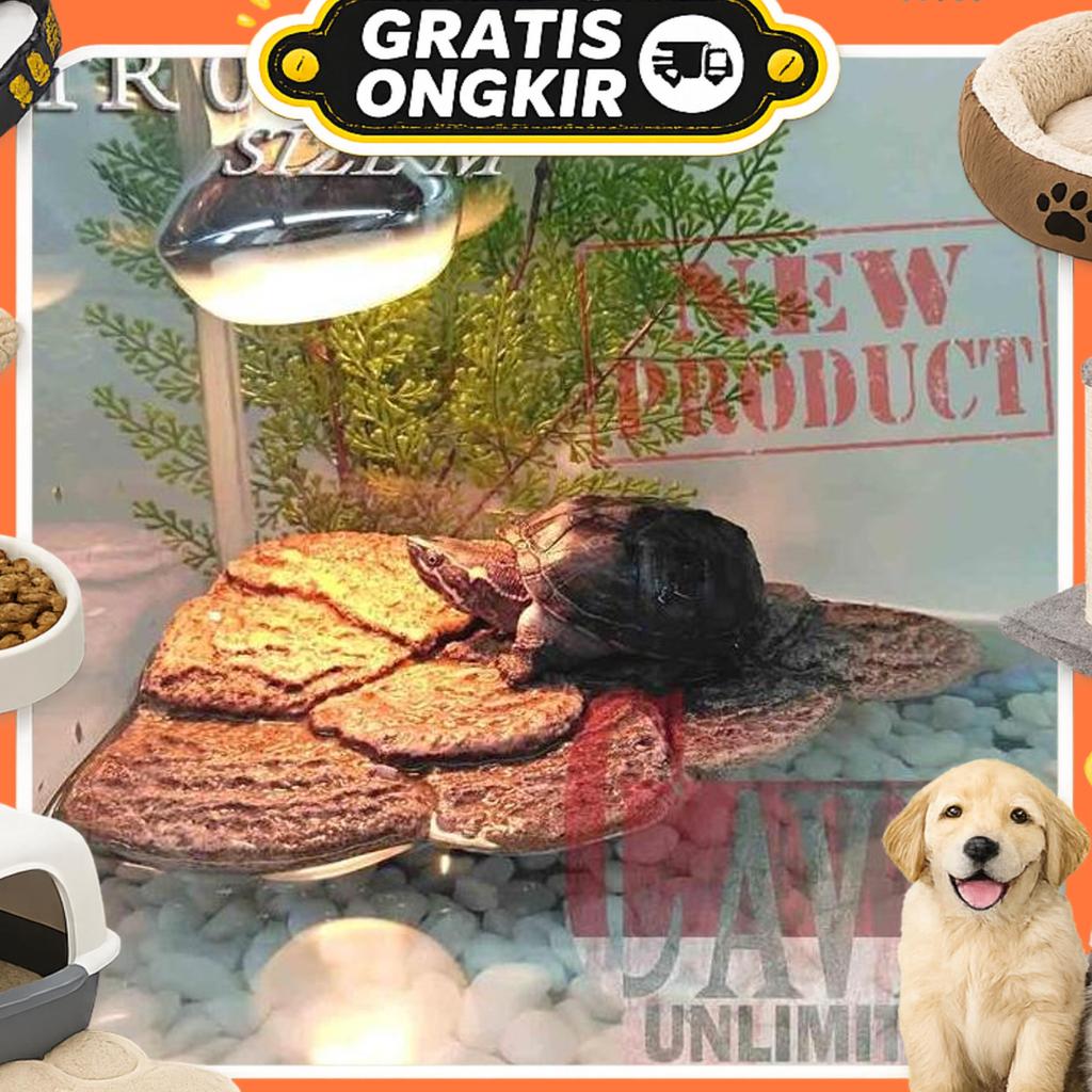 Basking Spot Ramp Kura Kura Air Brazil Ambon Cst Res Damer Kadal Tortoise Sulcata Tangkringan Tempat