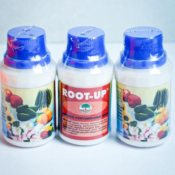 Root up penumbuh akar, zpt tanaman