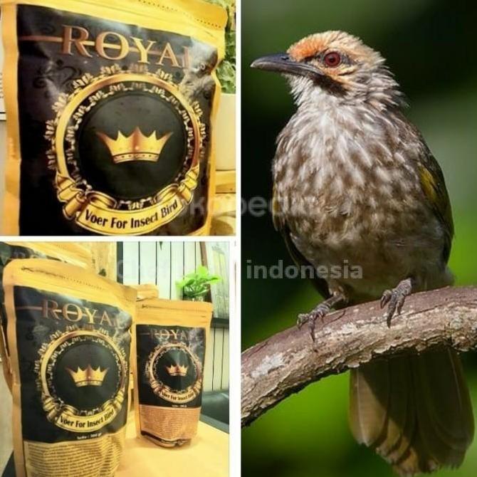 NEW PUR PAKAN BURUNG CUCAK ROWO ROYAL MAKANAN BURUNG CUCAK ROWO 300 GR ORI