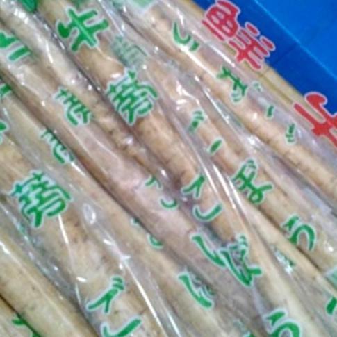 Verdure- Gobo / Burdock Root / Ketela Import