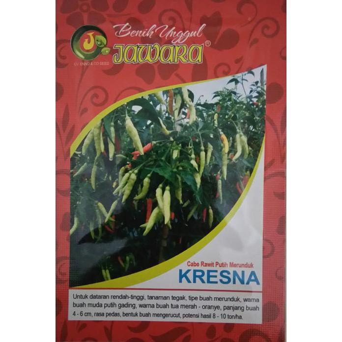 Benih Cabe Rawit Putih Unggul Kresna 10Gr - Bibit Cabe Rawit Putih | Benih Cabai Rawit