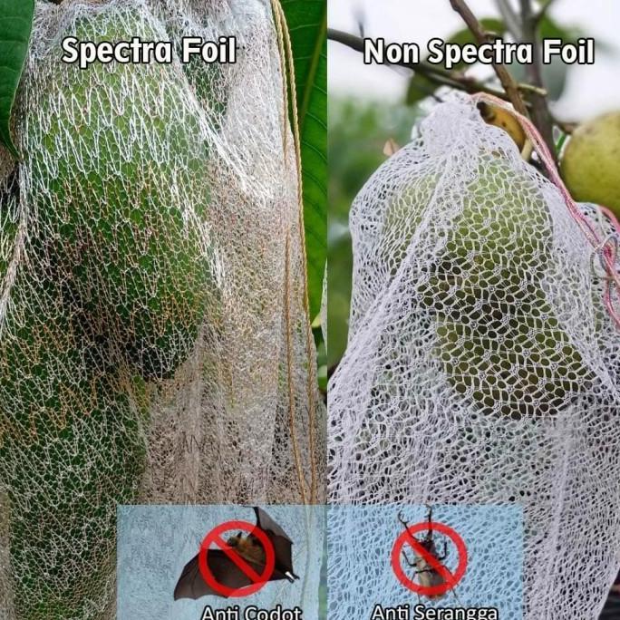 Youandme- Spectra Fruit Cover Reusable Fruit Cover Pembungkus Buah 1 Set