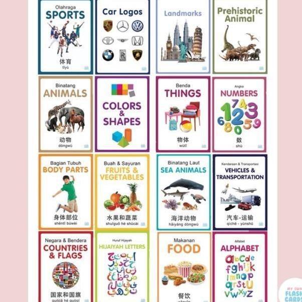 My Own Flashcards 3 bahasa / Flash Card Animal, Body Parts, Kartu Pintar Mainan Edukasi Flashcard An