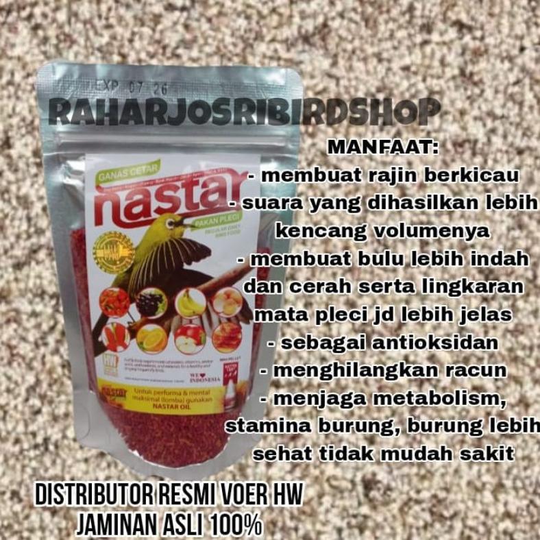 HW NASTAR PLECI