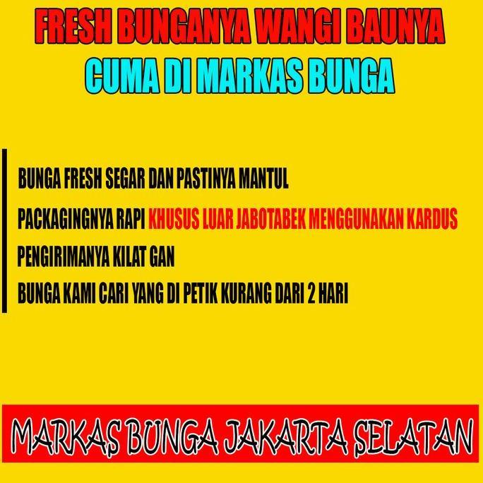 bunga mawar putih asli fresh