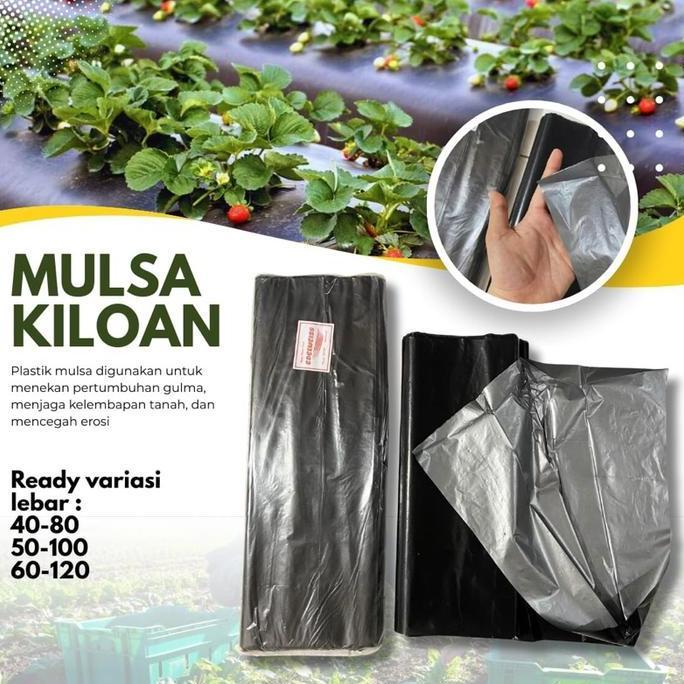 Mulsa kiloan/plastik perak pertanian per 1kg (TERBAIK) (TERBARU) (TERMURAH)