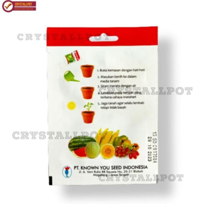Noniwa- Benih Bibit Terong Ungu Panjang F1 Charming Known You Seed - Kys Terong Ungu Panjang F1 Char
