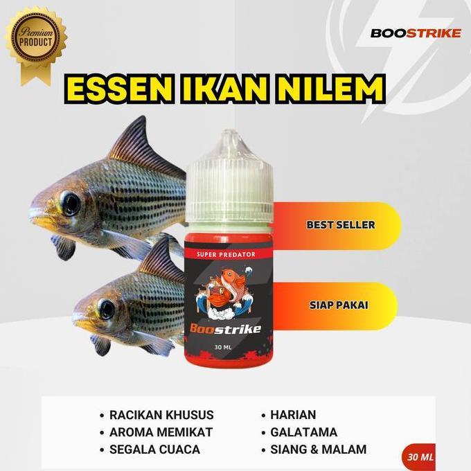 Essen Umpan Mancing Ikan Nilem Wader Unjar Lunjar Melem Paling Jitu Pancing Lele