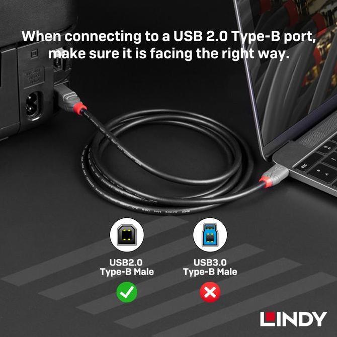 Kabel Printer & Audio Interface Lindy USB 2.0 Type C to Type B Male to Male