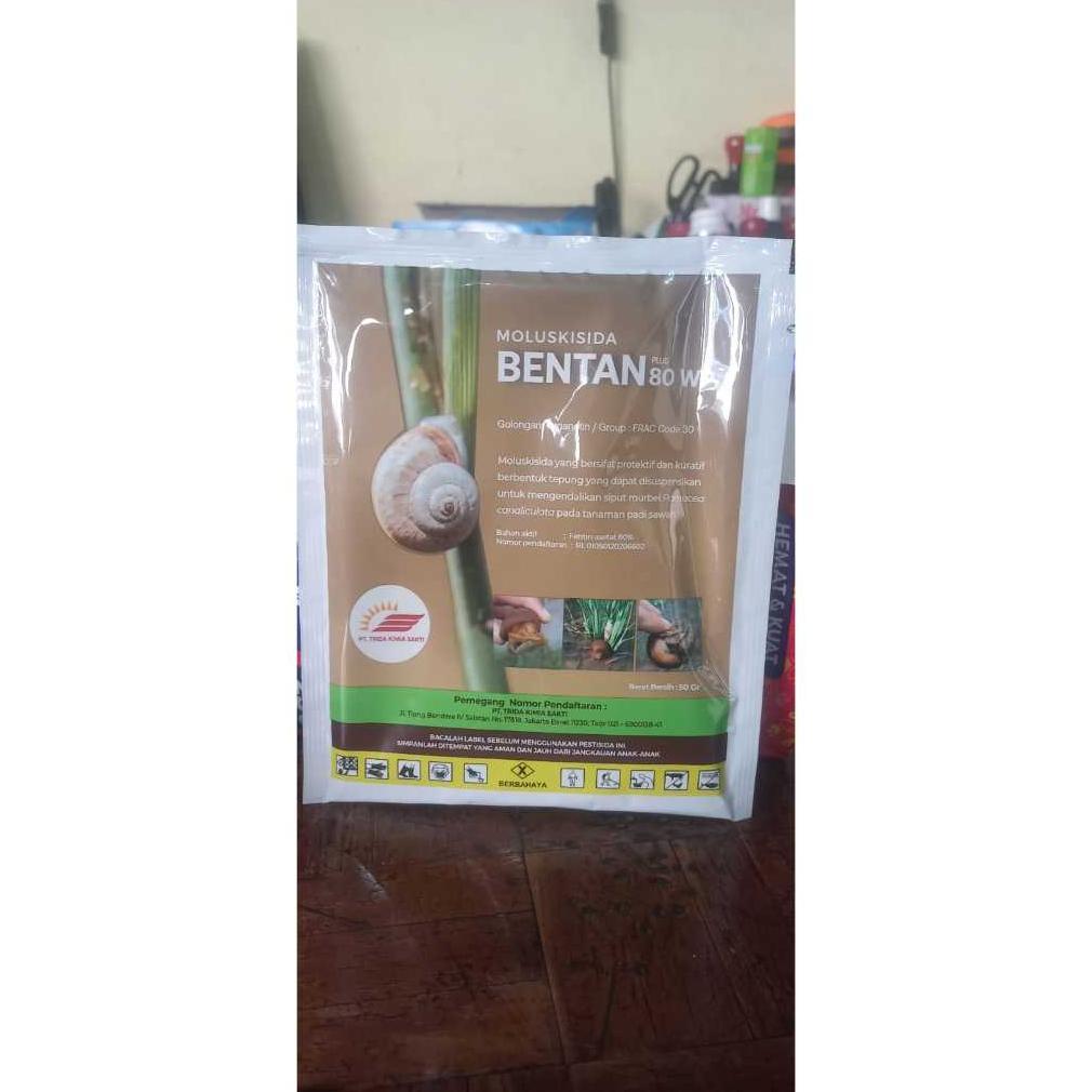 Bentan 80 wp (fentin asetat 80%) Moluskisida Pengendali Hama keong sawah kemasan 50 gram