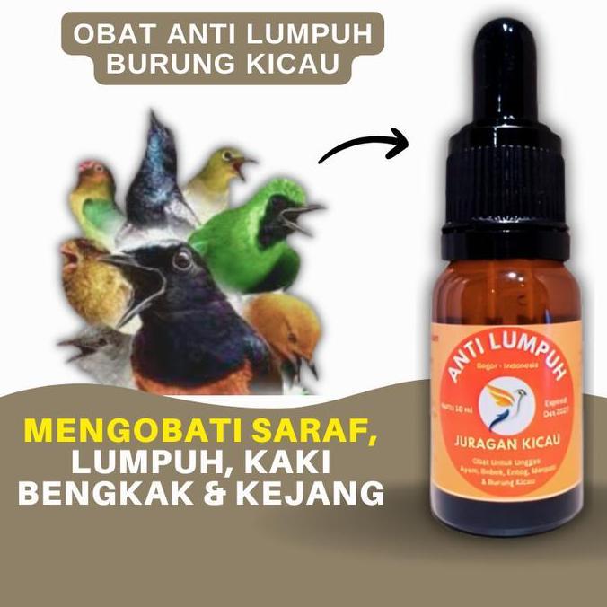 Anti Saraf Burung Kicau Obat Burung Lumpuh Kaki Bengkak Dan Masalah Saraf Allshop