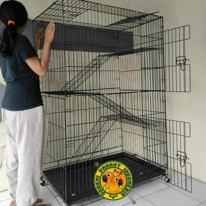 Kandang Kucing Jumbo Kandang Kucing Kandang Kucing Besar