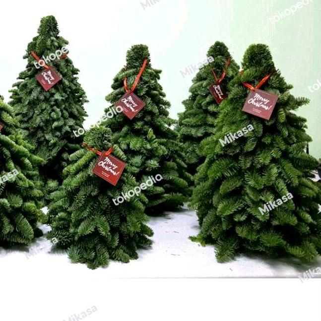 nobilis christmas tree asli import pohon fresh asli