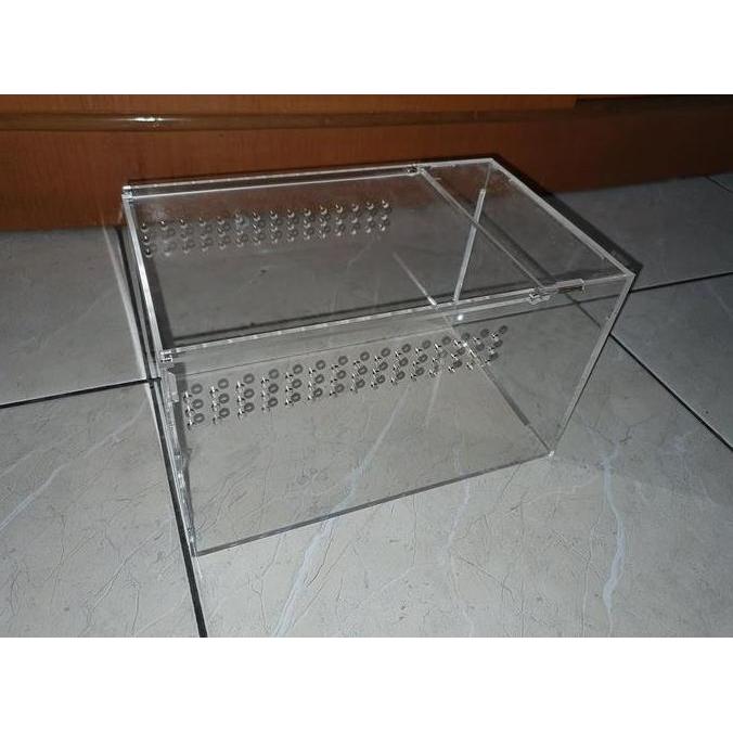 paket bundling untuk pemula yang beli juvenille - adult tarantula