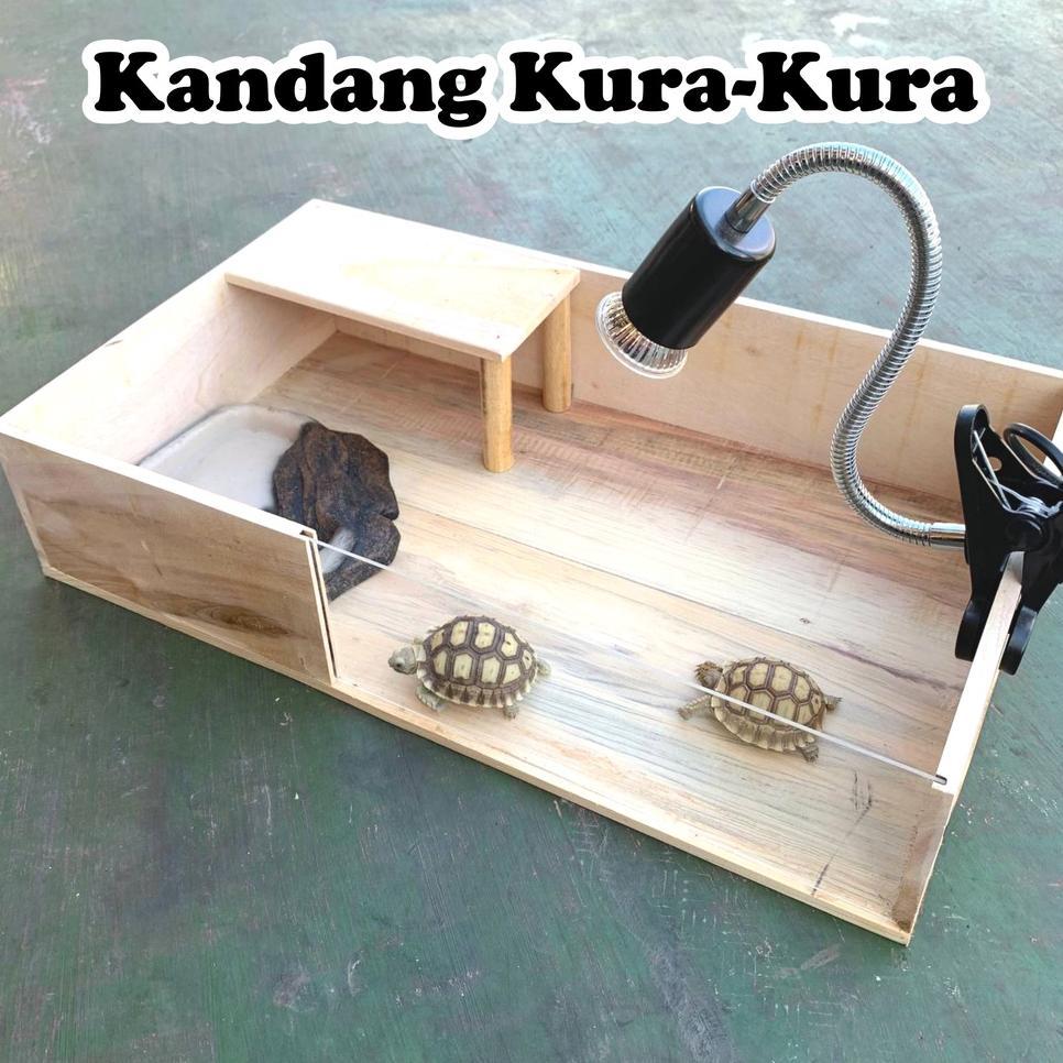 Torto Table Kandang Tortoise Sulcata Kandang Kura Kura Kandang Kayu