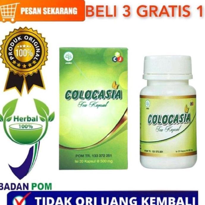 COLOCASIA OBAT HERBAL NYERI SENDI TULANG