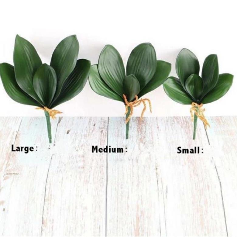 Daun anggrek latex / Daun Anggrek Artificial