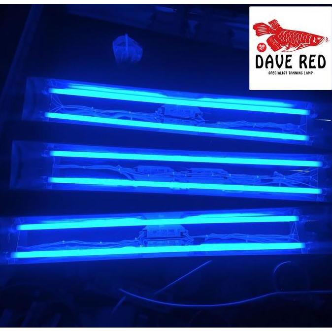Termurah Lampu Tanning Ikan Arwana Louhan Aquazonic Pengganti Matahari Custom