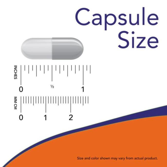 Now L-Carnitine 500Mg 60 Veg Caps
