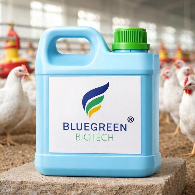 Probiotik Ayam BlueGreen Biotech PAN