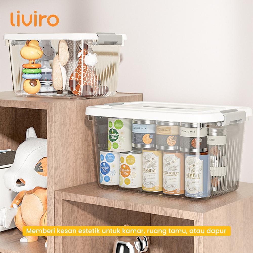 Liviro Container Box Jumbo Organizer Box Tempat Penyimpanan Serbaguna