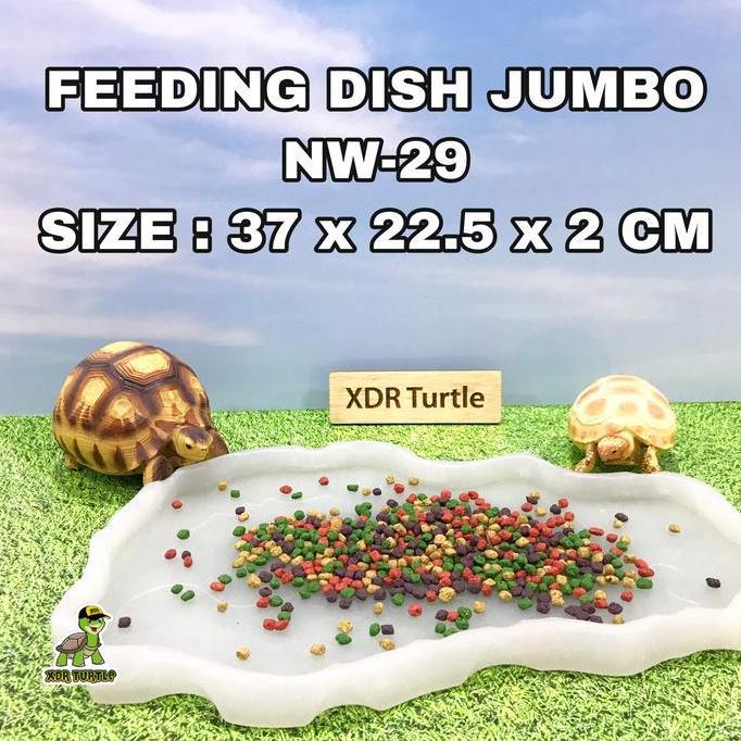Termurah Feeding Dish Nw-29 Tempat Makan Torto Reptil Jumbo Sulcata Aldabra