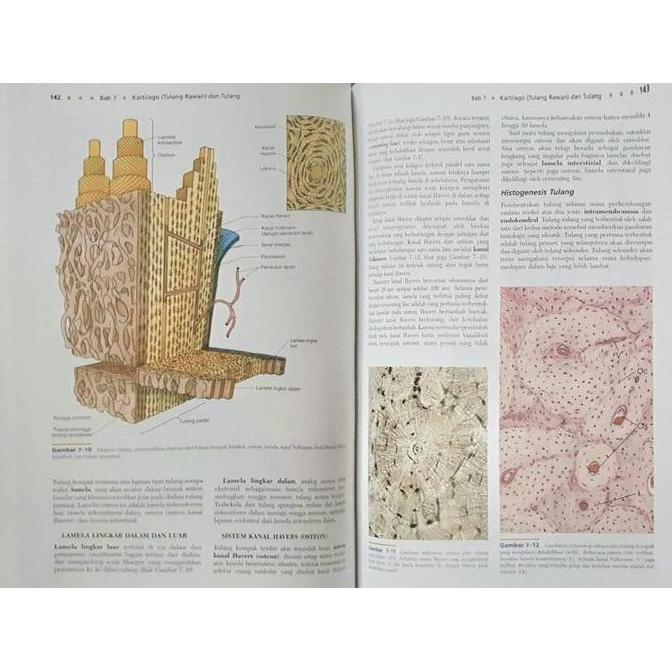 Bayugetroas - [Original] Buku Ajar Berwarna Histologi 3E - Gartner