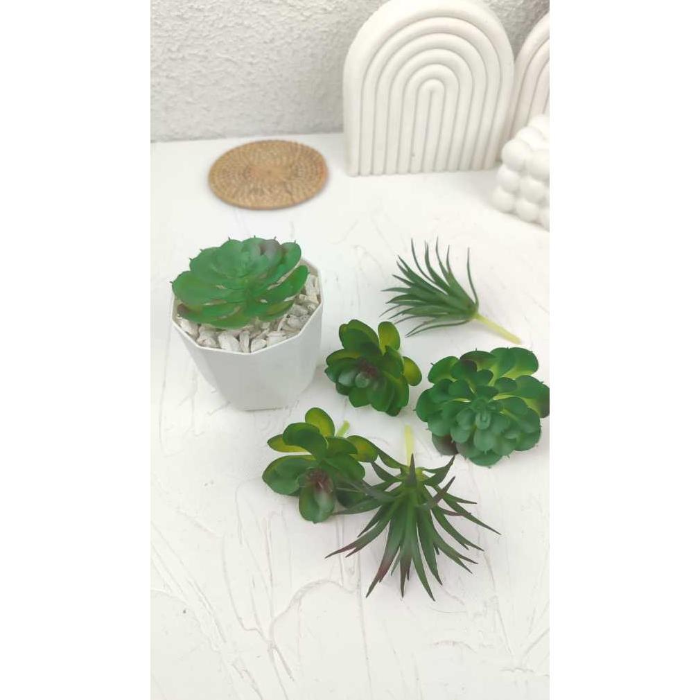 New Product Sukulen Plastik - Kaktus Plastik Artificial - Tanaman Kaktus Hias -Tanaman Hias Terrariu