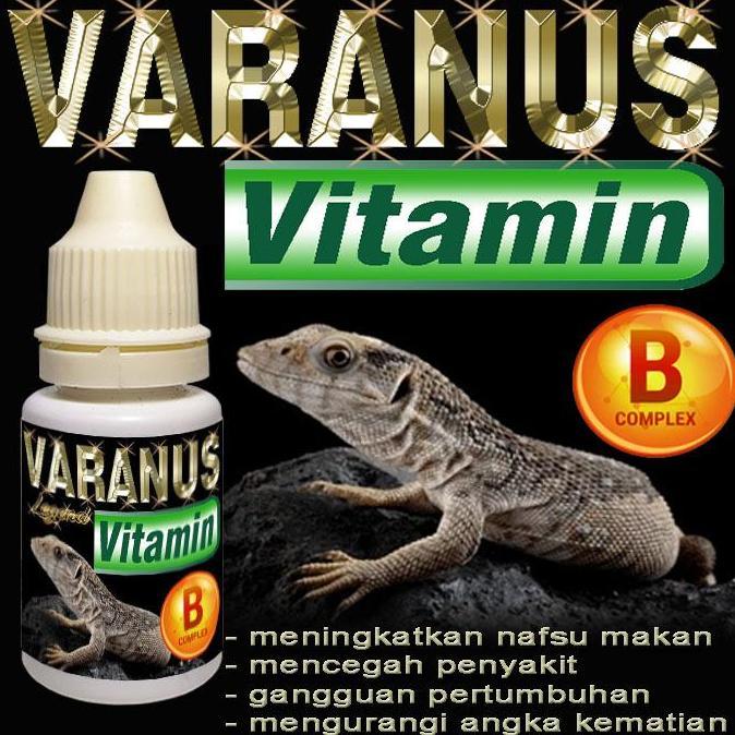 VARANUS VITAMIN CAIR OBAT MENYEMBUHKAN GANGGUAN PERTUMBUHAN VARANNUS SALVATOR SALVADORI LIZARD KADAL