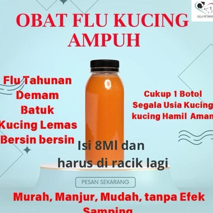 Obat Flu Kucing Ampuh Murah mengobati Batuk Demam Pilek kucing