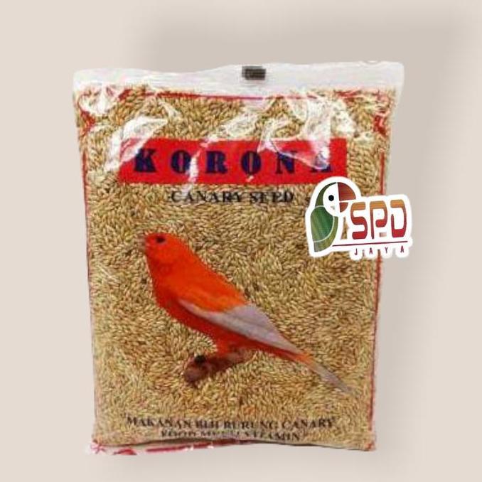 Korona Kenari Polos / Korona Kenari Seed
