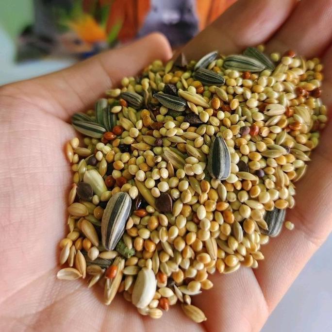 Pakan Burung Parrot Pharmacy Mix 1Kg Jj Premium Seed Vitamin Lovebird