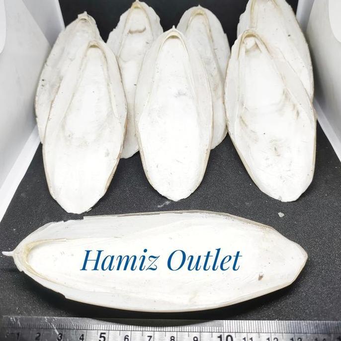 TULANG SOTONG 12-14 CM TERMURAH BEST PRODUK