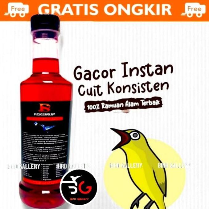 Peksirup Nektar Burung Kolibri Pleci Rudjak