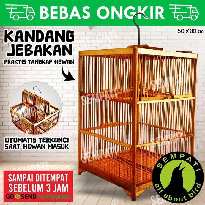 Sangkar Dua Pintu Atas Kandang Burung Kecil Bahan Kayu Bambu Halus Kuat Burung Prenjak Jalak Trucuk 
