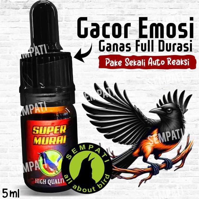 Super Murai Vitamin Gacor Penggacor Burung Murai Batu Suplemen Gacor Spesial Burung Murai Fighter Bu