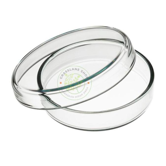 Petridish 150X25 Mm Cawan Petri Dish 150 X 25 Anumbra