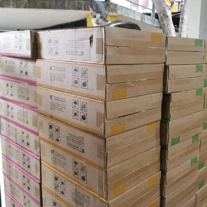 Fisher- Makanan Kucing Life Cat Kaleng 1 Dus Life Cat Dus 1 Box Life Cat Dus