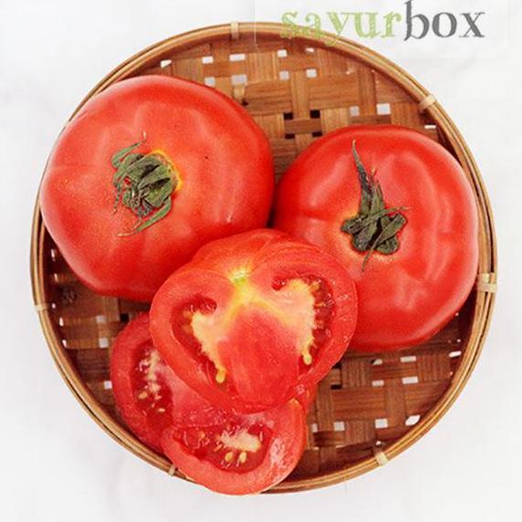 (Best) Tomat Beef Hidroponik 1 kg Sayurbox