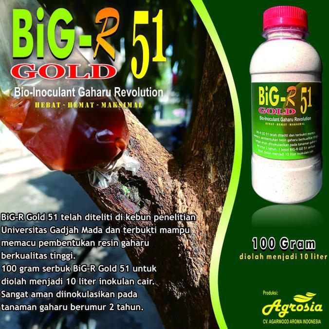 BiG-R Gold 51 - Inokulan Pembentuk Gubal Gaharu - 100 gram