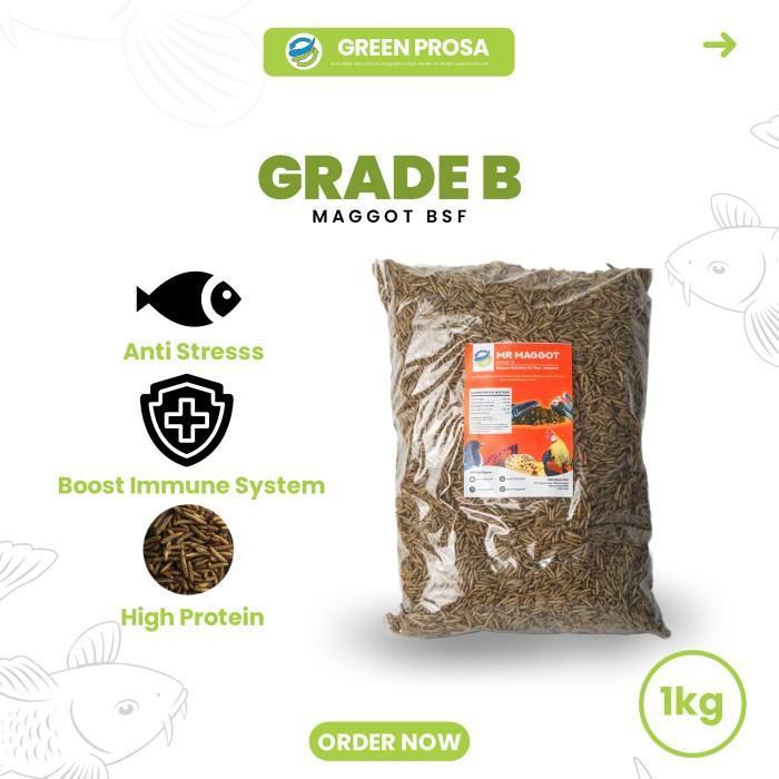 MR MAGGOT - Maggot Magot Kering BSF 1Kg GRADE B Nutrisi Sama