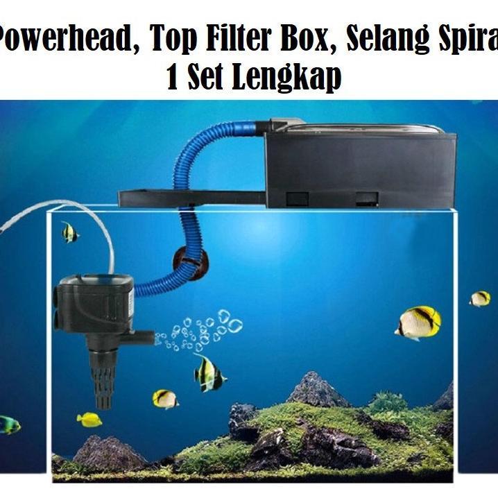 Box Filter Lengkap, Kotak Filter Aquarium, Box Filter Aquarium Lengkap, Box Filter, Box Saringan Fil