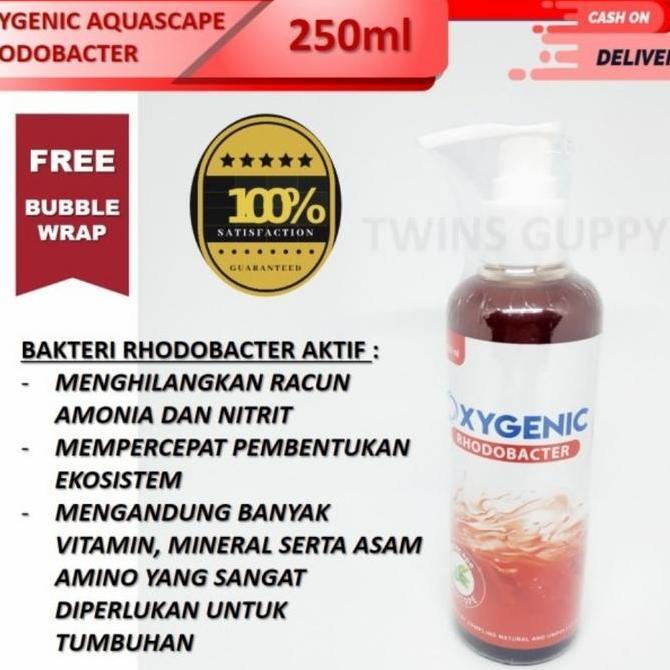 OXYGENIC BAKTERI STARTER AQUASCAPE OXYGENIC RHODOBACTER 250 ML
