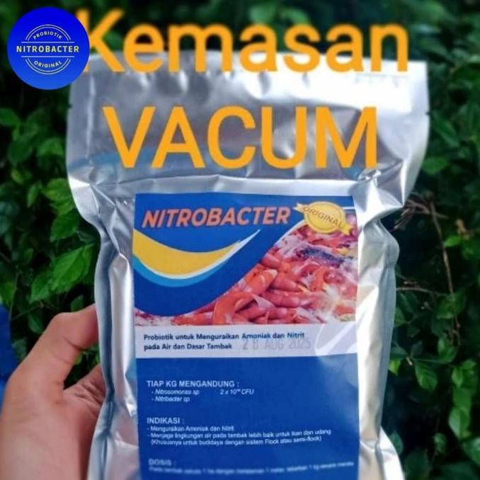 PROBIOTIK 1 KG NITROBACTER LACTOBACILLUS BACILLUS RHODOBACTER