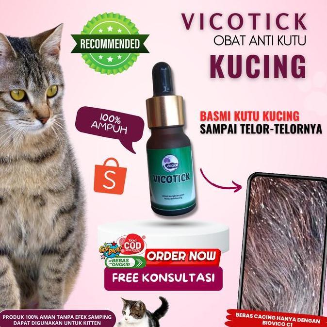 OBAT KUTU AMPUH VICOTICK MEMBASMI KUTU KUCING MEMBUNUH KUTU KUCING